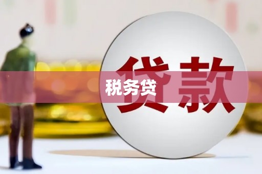 澳门半岛税务贷