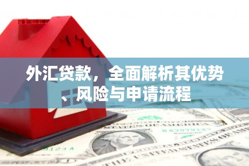 澳门半岛外汇贷款，全面解析其优势、风险与申请流程
