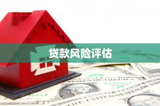 澳门半岛贷款风险评估