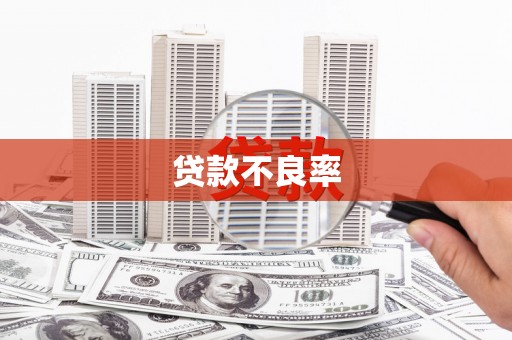澳门半岛贷款不良率