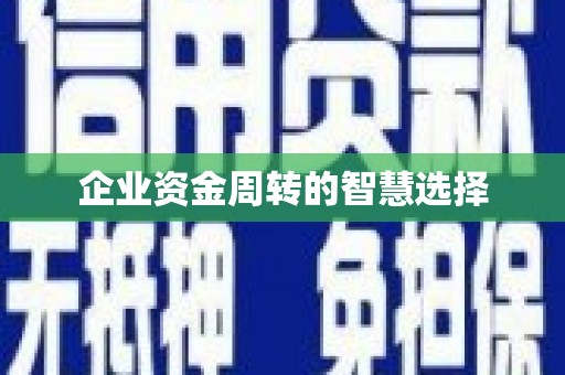 澳门半岛企业资金周转的智慧选择