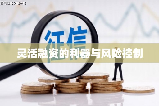 澳门半岛灵活融资的利器与风险控制