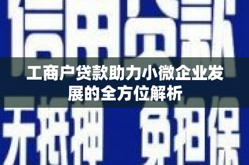 澳门半岛工商户贷款助力小微企业发展的全方位解析