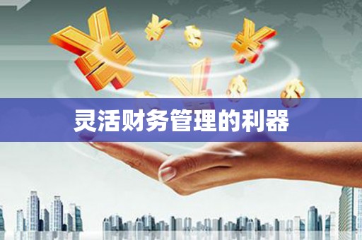 澳门半岛灵活财务管理的利器