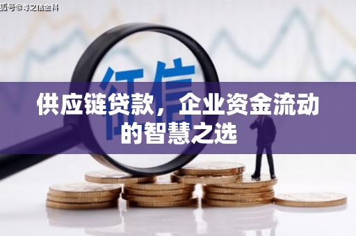 澳门半岛供应链贷款，企业资金流动的智慧之选