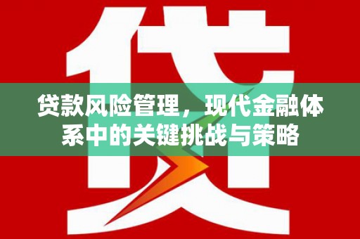 澳门半岛贷款风险管理，现代金融体系中的关键挑战与策略