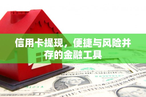 澳门半岛信用卡提现，便捷与风险并存的金融工具