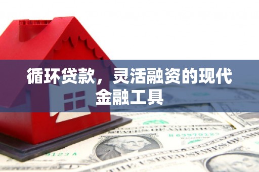 澳门半岛循环贷款，灵活融资的现代金融工具
