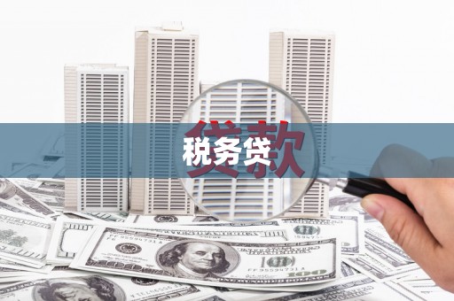 澳门半岛税务贷