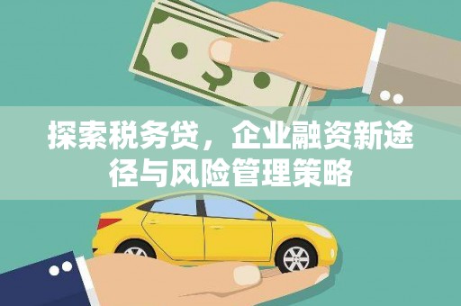 澳门半岛探索税务贷，企业融资新途径与风险管理策略