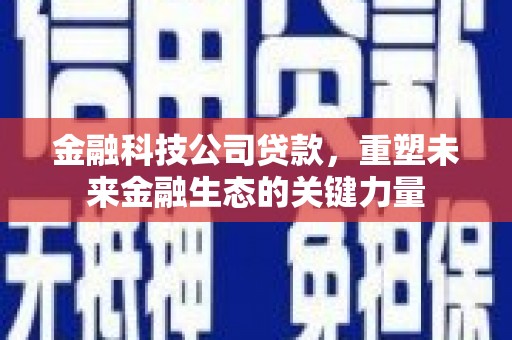 澳门半岛金融科技公司贷款，重塑未来金融生态的关键力量