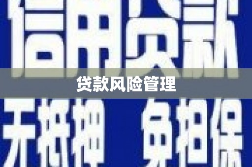 澳门半岛贷款风险管理