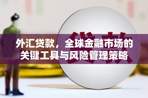 澳门半岛外汇贷款，全球金融市场的关键工具与风险管理策略