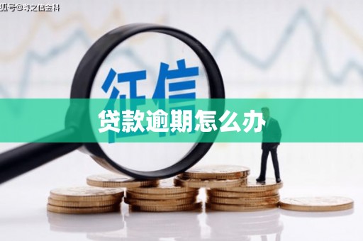 澳门半岛贷款逾期怎么办