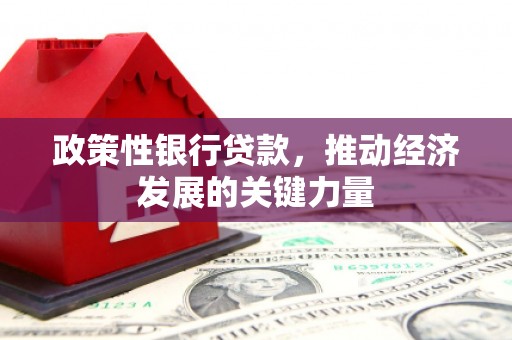 澳门半岛政策性银行贷款，推动经济发展的关键力量