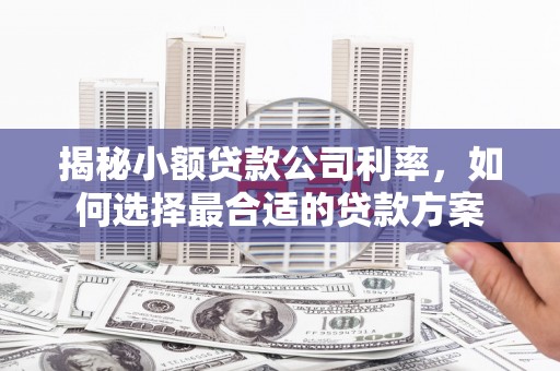 澳门半岛揭秘小额贷款公司利率，如何选择最合适的贷款方案