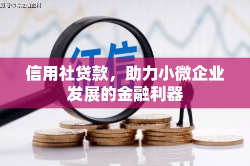 澳门半岛信用社贷款，助力小微企业发展的金融利器