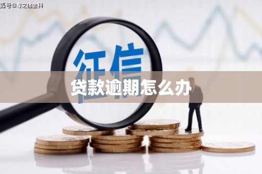 澳门半岛贷款逾期怎么办