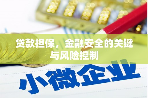 澳门半岛贷款担保，金融安全的关键与风险控制