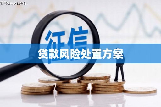 澳门半岛贷款风险处置方案
