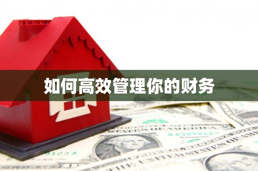 澳门半岛如何高效管理你的财务