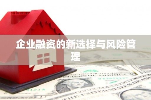 澳门半岛企业融资的新选择与风险管理