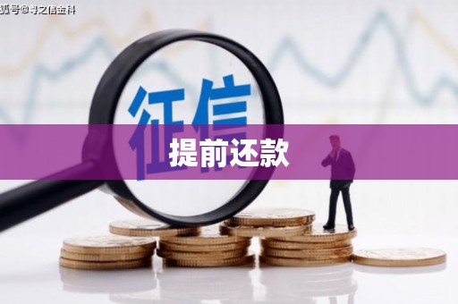 澳门半岛提前还款