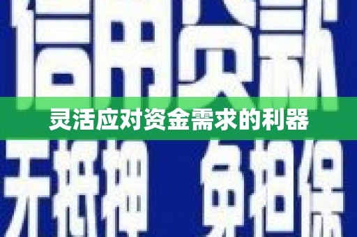 澳门半岛灵活应对资金需求的利器