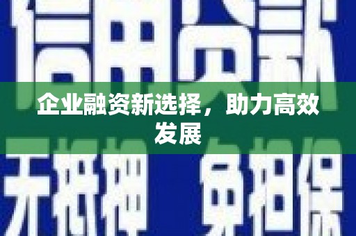 澳门半岛企业融资新选择，助力高效发展
