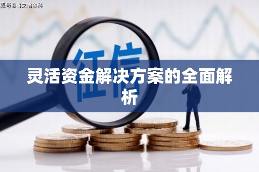澳门半岛灵活资金解决方案的全面解析